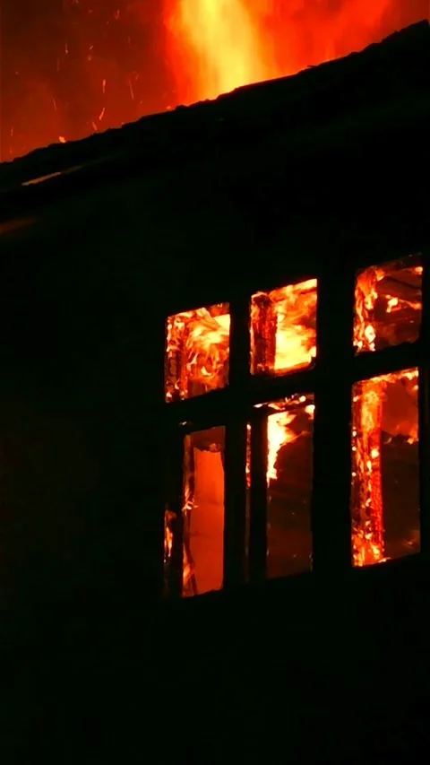 A forest fire destroys a house. Stock Footage 297567014