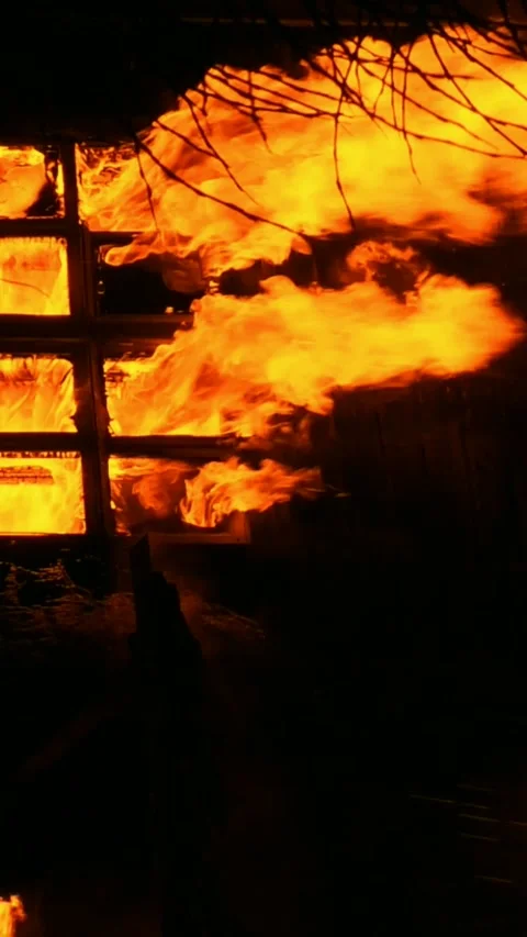 A forest fire destroys a house. Stock Footage 297567039
