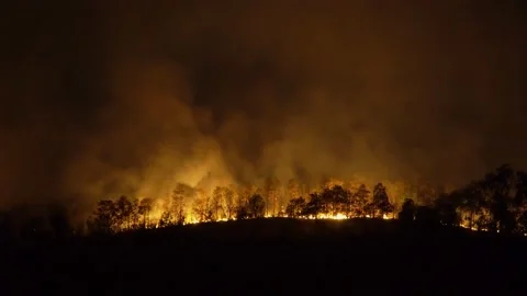 Forest fire disaster is burning caused by human Vídeos de archivo 132160392