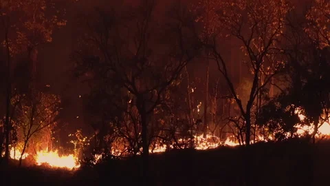 Forest fire disaster is burning caused by human Stock Footage 140670849