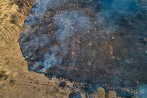 Forest fire. Dry grass burning in the field, near the river. Stock Photos