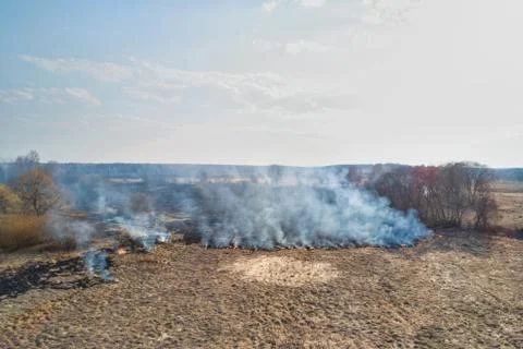 Forest fire. Dry grass burning in the field, near the river. Stock Photos
