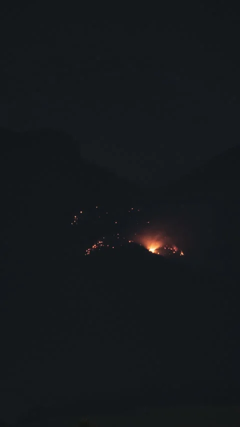 Forest fire during the night, timelapse Stock Footage 308799580