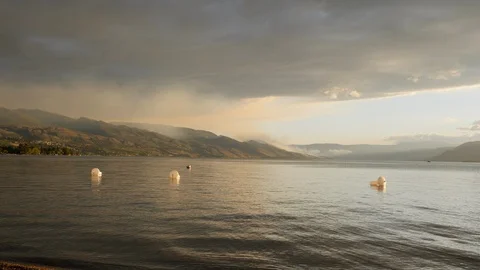 Forest Fire dusk burning trees on a mountain- by a lake 4k. Stock Footage 96564327