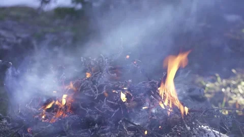 Forest fire embers glowing on ground Stock Footage 323969259