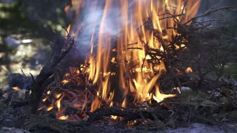 Forest fire embers glowing on ground Stock Footage 323969374