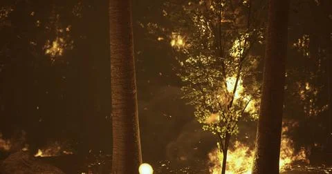 Forest fire engulfs trees and vegetation in nighttime blaze Stock Illustration