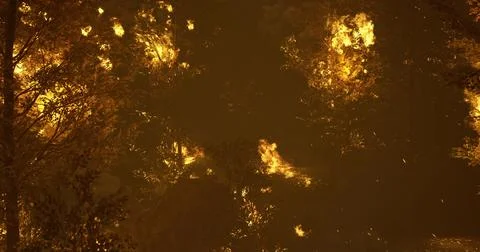 Forest fire engulfs trees at dusk creating a dramatic landscape of flames Stock Illustration