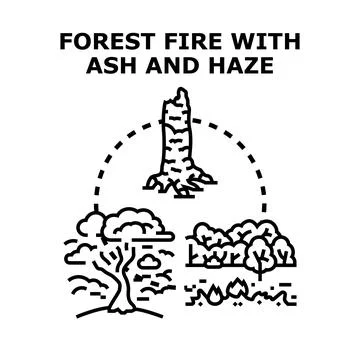 Forest fire environmental disaster causing ash and smoky haze Stock Illustration