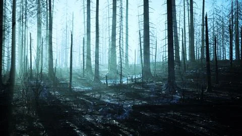 Forest fire with fallen tree is burned to the ground Stock Illustration