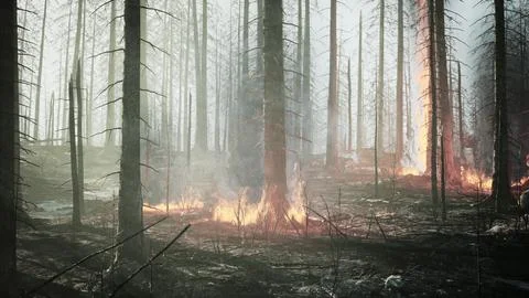 Forest fire with fallen tree is burned to the ground Illustrazione stock