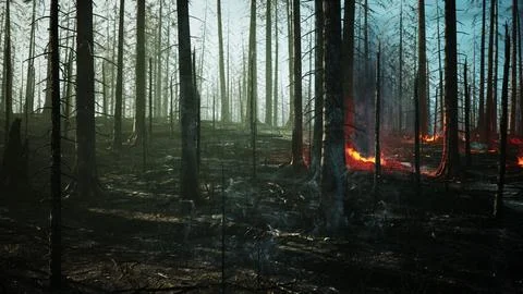 Forest fire with fallen tree is burned to the ground Illustrazione stock