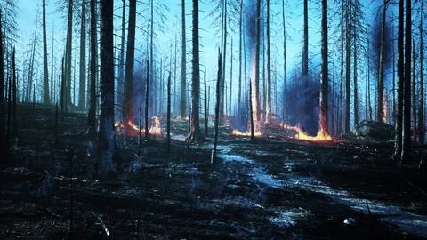 Forest fire with fallen tree is burned to the ground Stock Illustration