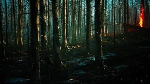 Forest fire with fallen tree is burned to the ground Stock Illustration