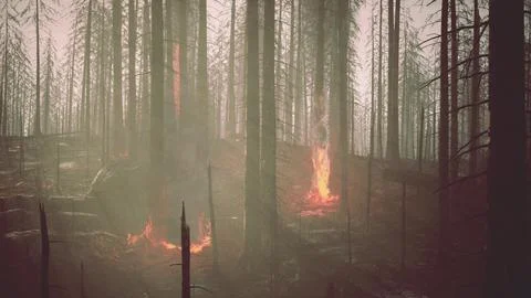 Forest fire with fallen tree is burned to the ground Illustrazione stock