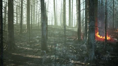 Forest fire with fallen tree is burned to the ground Stock-Illustration