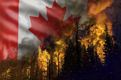 Forest fire fight concept, disaster - fire in woods on Canada flag Stock Illustration