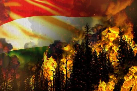 Forest fire fight concept, disaster - fire in trees on Egypt flag Stock Illustration