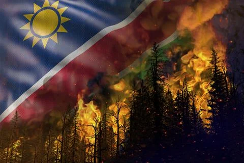 Forest fire fight concept, disaster - fire in woods on Namibia flag Illustrazione stock