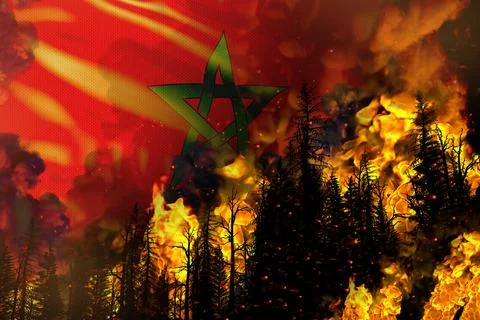 Forest fire fight concept,  disaster - fire in trees on Austria flag Stock Illustration