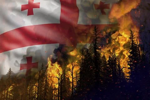 Forest fire fight concept, disaster - fire in woods on Georgia flag Stock Illustration