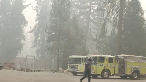 Forest Fire Fire Engines Ready Stockbeeldmateriaal 74275889