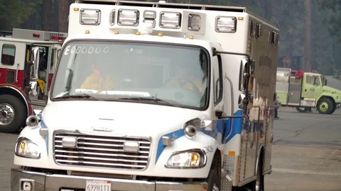 Forest Fire Fire Engines Roll In and Out Stock Footage 74275812