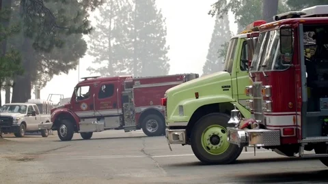 Forest Fire Fire Engines Roll In and Out Stock Footage 74275949