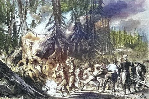 Forest Fire Fire of a Fir Forest near St Petersburg 1869 Russia Historic Stock Illustration