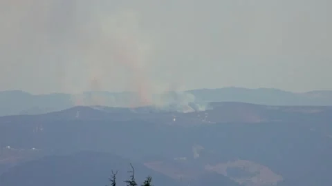 Forest fire - fire - natural disaster Stock-Footage 152613973