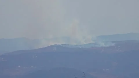 Forest fire - fire - natural disaster Stock Footage 152615675