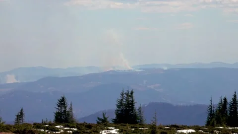 Forest fire - fire - natural disaster 스톡 동영상 152615809