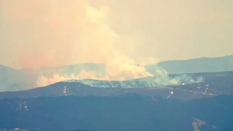 Forest fire - fire - natural disaster Stock-Footage 152615886