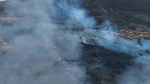 Forest fire. fire over a large area. Fire in hot weather Stock Footage 246793761