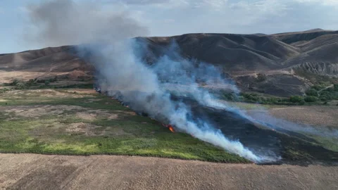 Forest fire. fire over a large area. Fire in hot weather Stock Footage 246793983