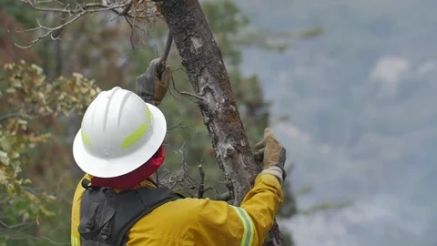 Forest Fire Firefighter Clears Brush Stockbeeldmateriaal 74275699