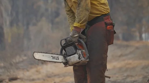 Forest Fire Firefighter Crew Chainsaw Stockbeeldmateriaal 74279185