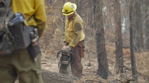 Forest Fire Firefighter Crew Chainsaw 4 Stock Footage