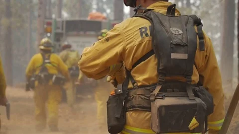 Forest Fire Firefighter Crew Exhausted Walk to Engines Stockbeeldmateriaal 74279052