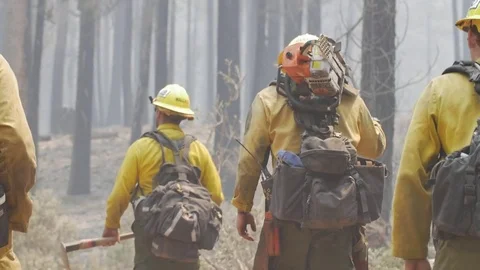Forest Fire Firefighter Crew Hike Stockbeeldmateriaal 74279090