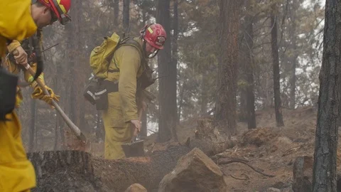 Forest Fire Firefighter Crew Plow Ashes 2 Stockbeeldmateriaal 74279075