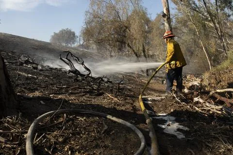 Forest Fire Firefighter Stock Photos