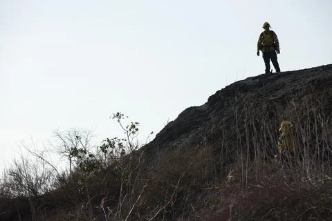 Forest Fire Firefighter Stock Photos