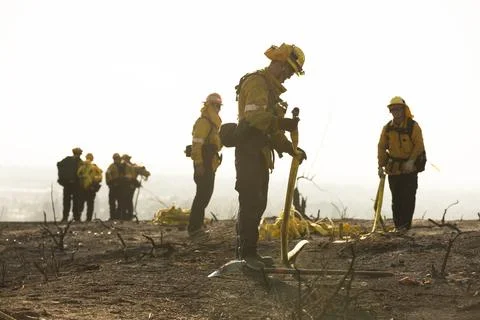 Forest Fire Firefighter Stock Photos
