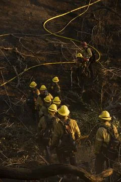 Forest Fire Firefighter Stock Photos
