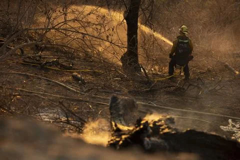 Forest Fire Firefighter Stock Photos