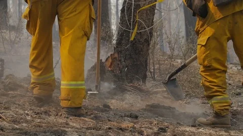 Forest Fire Firefighter Plow Ashes Stockbeeldmateriaal 74278994