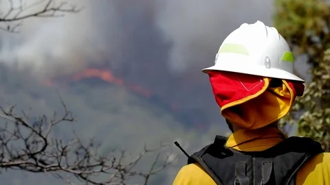 Forest Fire Firefighter Watches Over Blaze Stockbeeldmateriaal 74275643