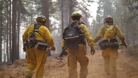 Forest Fire Firefighters EPIC HERO WALK Stock Footage 74275270