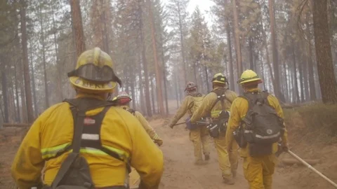 Forest Fire Firefighters EPIC HERO WALK Stock Footage 74275276